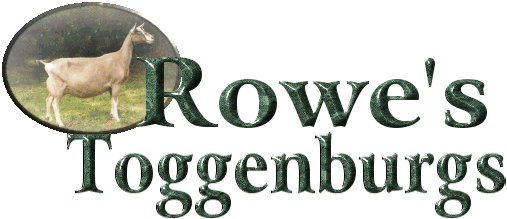 Rowe's Toggenburgs